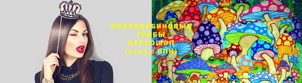 винт Алзамай