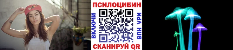 где купить наркоту  Бологое  Галлюциногенные грибы MAGIC MUSHROOMS 